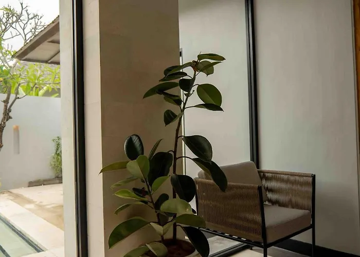 Tuluscolivingseminyakvilla1 Villa